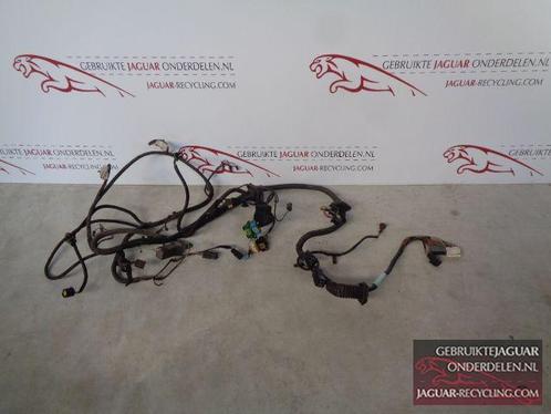 Kabelboom onder de motorkap / voorzijde auto  Jaguar XK8 199, Auto-onderdelen, Elektronica en Kabels, Jaguar, Gebruikt, Herkomst onderdeel bekend
