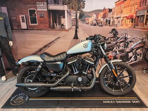 Harley-Davidson Chopper SPORTSTER XL883N, Motos, Motos | Harley-Davidson, Entreprise, Autre, 2 cylindres