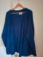 LN knits alpaca adorable annie LN andes vest, Neuf, Taille 38/40 (M), Enlèvement ou Envoi, Ln knits