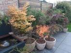 mooie bloempotten van vietnamese klei (-50%), Tuin en Terras, Ophalen
