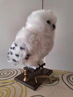 Uil Hedwig uit Harry Potter, Collections, Harry Potter, Enlèvement ou Envoi, Comme neuf, Autres types