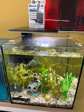 Superfish Qubiq 60 pro aquarium (60l) beschikbaar voor biedingen