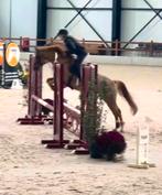 Brave D pony aantrekkelijke prijs, Dieren en Toebehoren, Pony's, Merrie