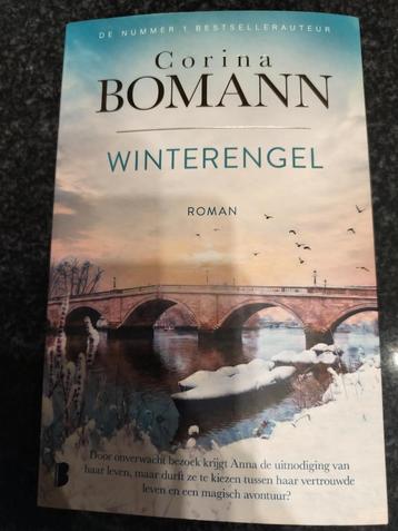 Winterengel beschikbaar voor biedingen