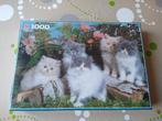 Puzzel met poesjes - Katten - 1000stuks - Nieuw, Enlèvement