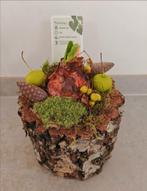 Boomstronk met amaryllis (mooi als kerstcadeau), Ophalen