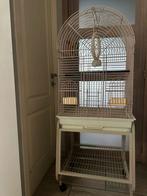 Grande cage avec ses accessoires complets, Animaux & Accessoires, Enlèvement