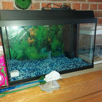 Aquarium 70 x40 x30 cm., Dieren en Toebehoren, Vissen | Aquaria en Toebehoren, Ophalen, Zo goed als nieuw