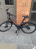 Elektrische fiets, Fietsen en Brommers, Elektrische fietsen, Nieuw, Ophalen