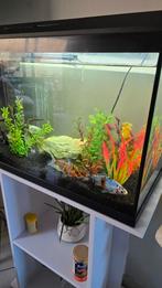 Aquarium, Ophalen, Zo goed als nieuw