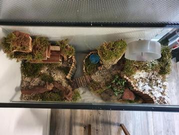 Hamsterkooi voor Hamsterscaping – Glas met Schuifruitdeuren beschikbaar voor biedingen