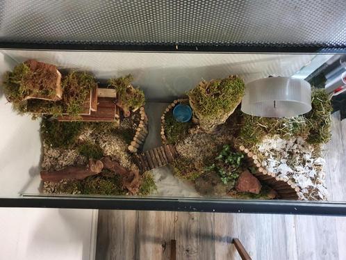Hamsterkooi voor Hamsterscaping – Glas met Schuifruitdeuren, Dieren en Toebehoren, Knaagdieren en Konijnen | Hokken en Kooien