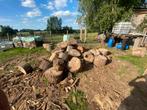 Brandhout nog te klieven, Tuin en Terras, Brandhout, Ophalen, Blokken