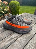 YEEZY BOOST 350 V2 CARBON BELUGA, Kleding | Heren, Ophalen of Verzenden, Zo goed als nieuw, Adidas