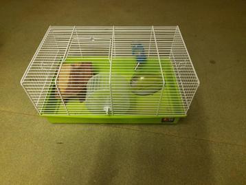 hamsterkot beschikbaar voor biedingen
