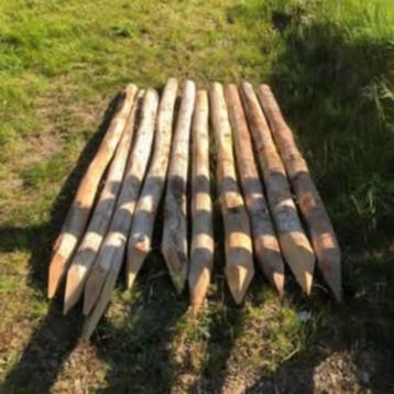 10 Robinia palen nieuw beschikbaar voor biedingen