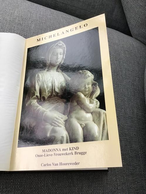 Michelangelo / Madonna met Kind. Brugge, Boeken, Geschiedenis | Stad en Regio, Zo goed als nieuw, Ophalen of Verzenden