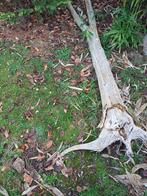 Brand/stook hout, Tuin en Terras, Ophalen of Verzenden