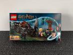 LEGO Harry Potter collectie, Enlèvement ou Envoi, Comme neuf, Lego