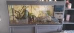 Aquarium juwel 240, Ophalen, Zo goed als nieuw
