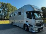Paardenvrachtwagen mercedes actros 6 paarden, Ophalen, Zo goed als nieuw, Overige typen