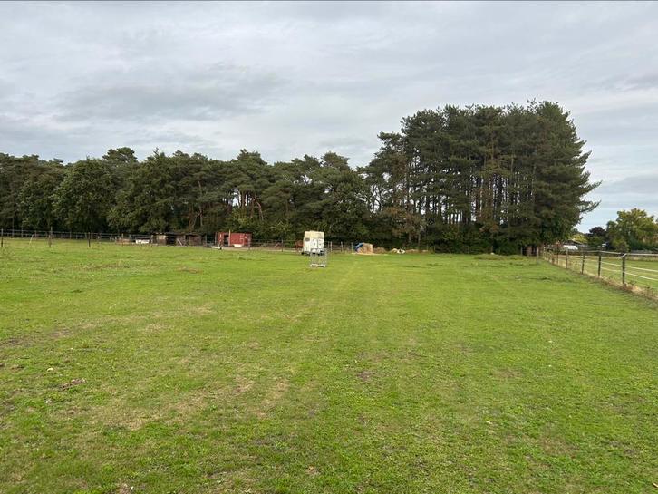 Weide plek aangeboden!, Dieren en Toebehoren, Stalling en Weidegang, Weidegang, 2 of 3 paarden of pony's