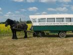 Mooie huifwagen voor 20 personen., Dieren en Toebehoren, Paard