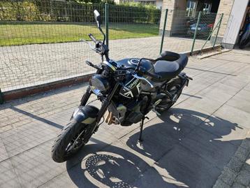 Triumph  beschikbaar voor biedingen