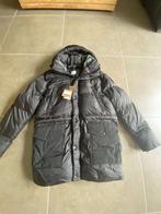 Burberry jas heren, Kleding | Heren, Jassen | Winter, Maat 52/54 (L), Verzenden, Zwart, Nieuw