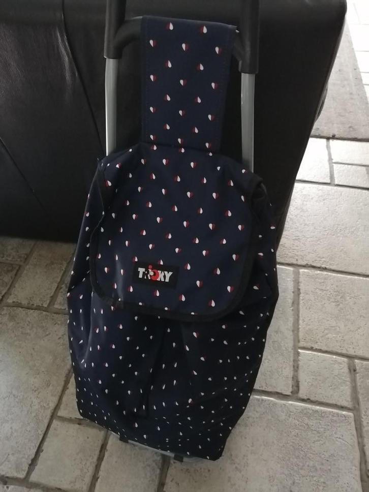 Boodschappentrolley, Handtassen en Accessoires, Tassen | Reistassen en Weekendtassen, Zo goed als nieuw, Blauw, Ophalen