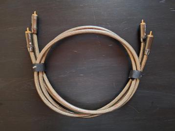 QED REFERENCE AUDIO EVOLUTION PAAR 1M beschikbaar voor biedingen