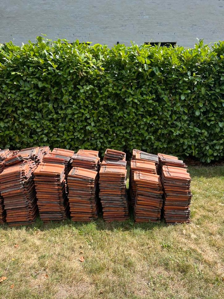 Pottelberg dakpannen dubbele sluiting, Doe-het-zelf en Bouw, Dakpannen en Dakbedekking, Gebruikt, Dakpannen, Steen of Klei, Rood