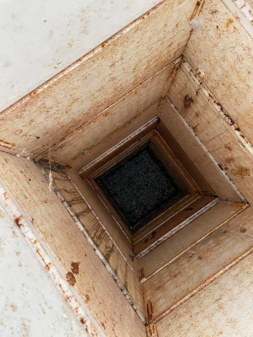 Kastdelen segeberger, Dieren en Toebehoren, Insecten en Spinnen, Bijen