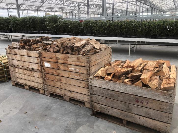 Brandhout droog eik, den, wilg, ..., Tuin en Terras, Brandhout, Stammen, Overige houtsoorten, 6 m³ of meer, Ophalen