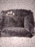 Cavia of kittenkussen, Dieren en Toebehoren, Cavia