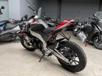 Aprilia RS 125 GP Replica [Licentie] [Fijn 0,0%] [-10%], Motoren, Bedrijf, 125 cc, 11 kW of minder, 2 cilinders