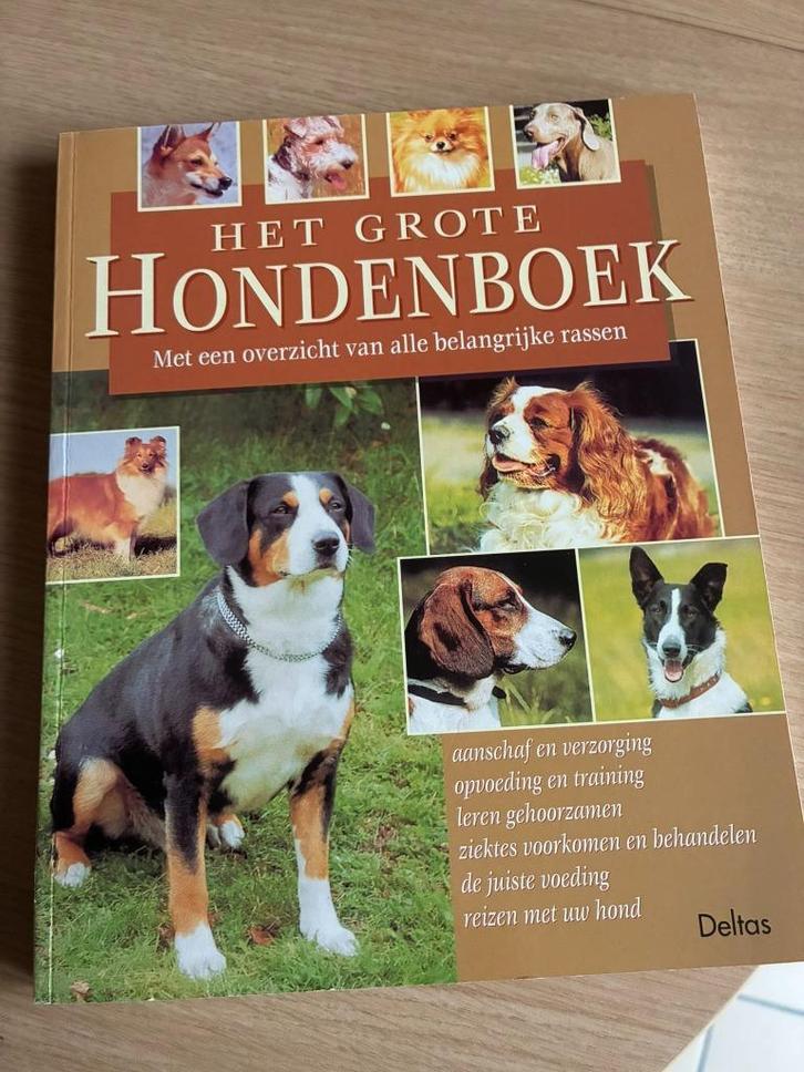 het grote hondenboek, Boeken, Dieren en Huisdieren, Nieuw, Honden, Ophalen of Verzenden