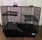 Hamsterkooi te koop, Dieren en Toebehoren, Knaagdieren en Konijnen | Hokken en Kooien, Kooi, Gebruikt, Minder dan 75 cm, Hamster