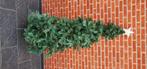 Kunstkerstboom 10 euro, Diversen, Ophalen of Verzenden, Gebruikt