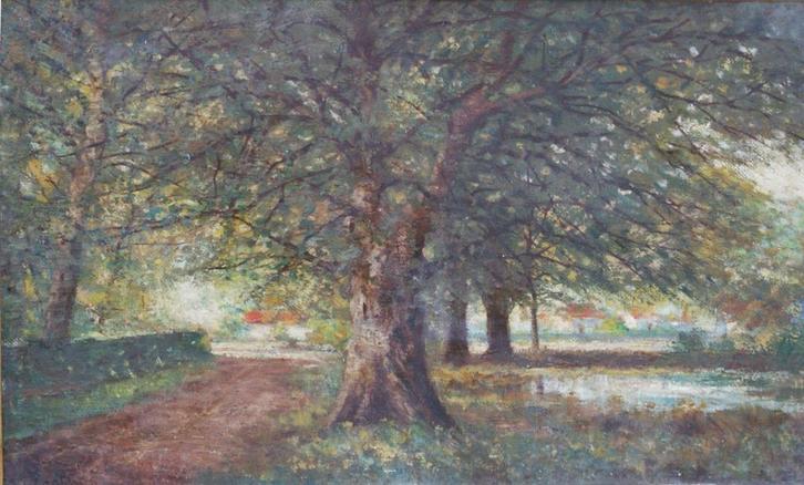 Adolphe Poot (1924-2006): Boszicht (68 x 48 cm), Antiek en Kunst, Kunst | Schilderijen | Klassiek, Ophalen of Verzenden