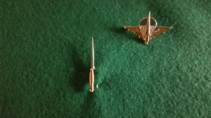 Gouden Para Commando Wing en Dolk, Verzamelen, Militaria | Algemeen, Landmacht, Lintje, Medaille of Wings, Ophalen of Verzenden