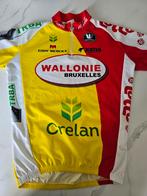 Maillot Wallonie Bruxelles, Vélos & Vélomoteurs, Accessoires vélo | Vêtements de cyclisme, Comme neuf, Enlèvement ou Envoi, L