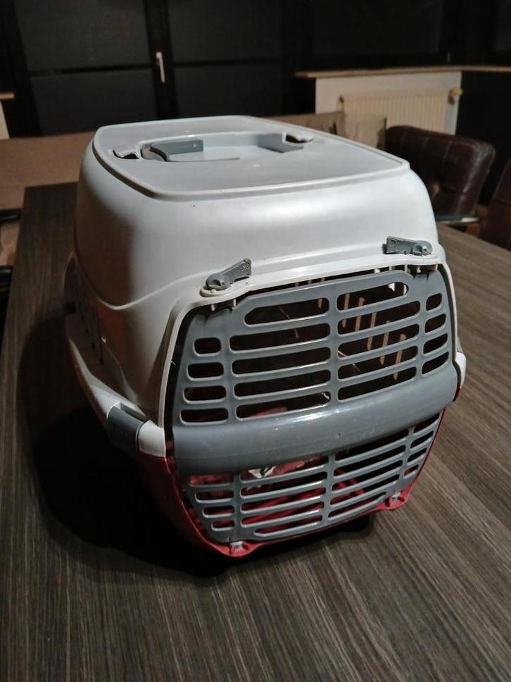 Kattenbox / Transportbak voor kat of kleine hond, Dieren en Toebehoren, Transportboxen, Gebruikt, Ophalen