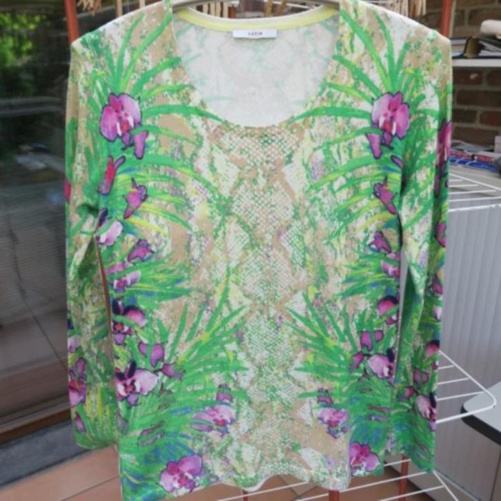Fijn pulleke print groen beige lila Lucia mt 40, Kleding | Dames, Truien en Vesten, Zo goed als nieuw, Maat 38/40 (M), Overige kleuren