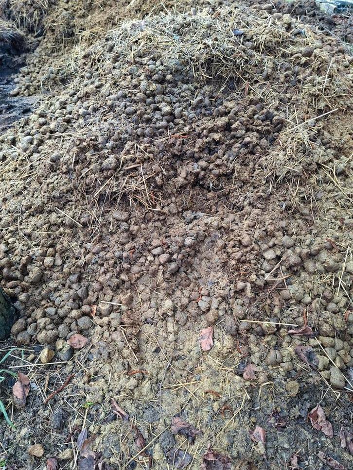 Gratis paardenmest (pony's), Tuin en Terras, Aarde en Mest, Mest, Ophalen