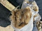 Wol, Dieren en Toebehoren, Meerdere dieren, Schaap, 0 tot 2 jaar