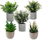 5 stuks | kunstplanten | GRATIS LEVERING, Binnen, -, -, Nieuw