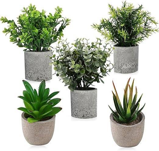 5 stuks | kunstplanten | GRATIS LEVERING, Huis en Inrichting, Woonaccessoires | Kunstplanten en Kunstbloemen, Nieuw, Binnen, Verzenden