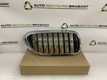 Grill Nier Rechts BMW 5 Serie G30 G31 M-PAKKET 51137390864 beschikbaar voor biedingen