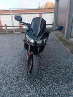 Yamaha fazer fz1 fazer, Particulier